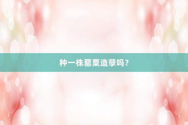 种一株罂粟造孽吗？