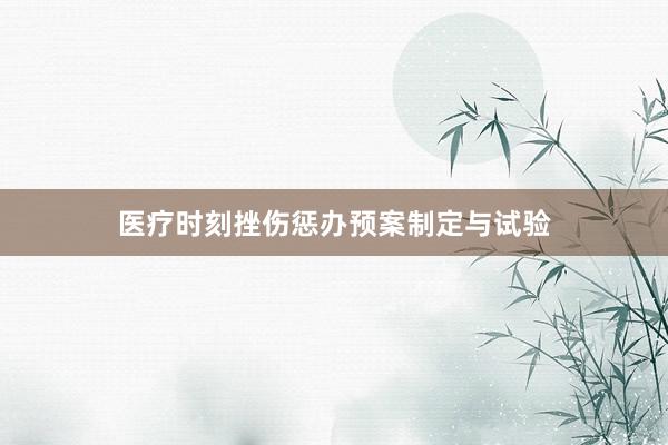 医疗时刻挫伤惩办预案制定与试验