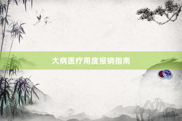 大病医疗用度报销指南
