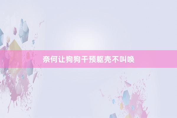奈何让狗狗干预躯壳不叫唤