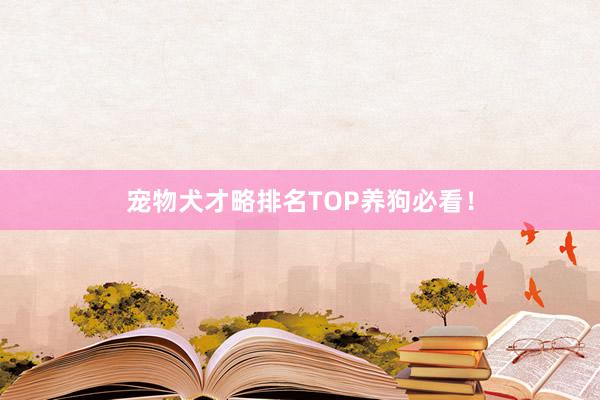 宠物犬才略排名TOP养狗必看!