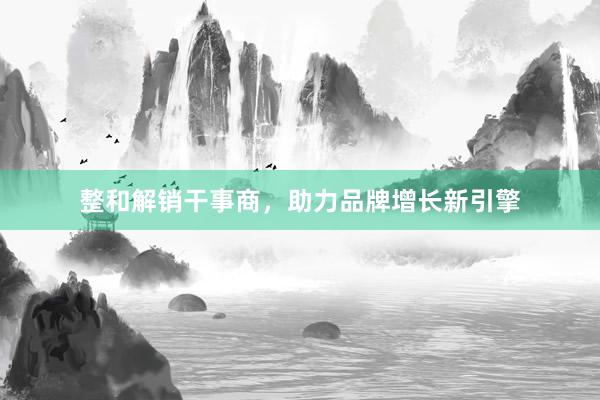 整和解销干事商，助力品牌增长新引擎