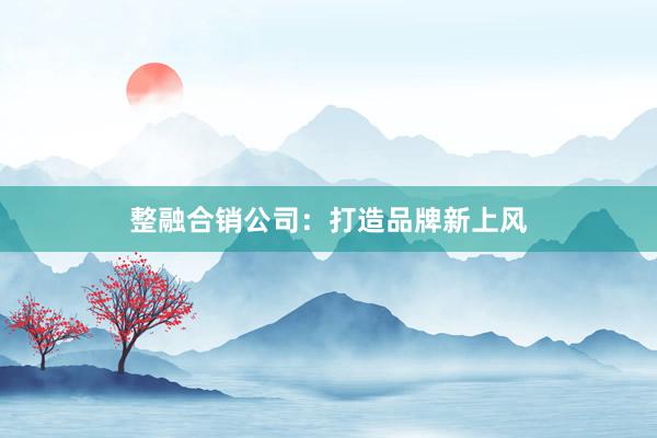 整融合销公司：打造品牌新上风